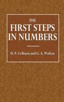 The First Steps in Numbers: Designed to Lead the Pupil to a Thorough Practical Aquaintance with the Elementary Operation of Numbers and the Application of the Decimal System