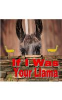 If I Was Your Llama