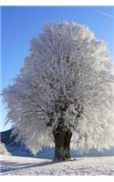 A Beautiful Tree Covered in Frost on a Snowy Winter Day Journal: 150 Page Lined Notebook/Diary