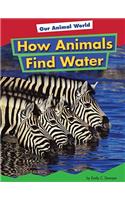 How Animals Find Water