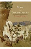 What Is Contemplation?: (English)