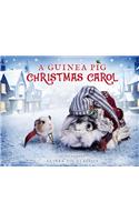 Guinea Pig Christmas Carol