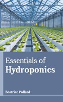 Essentials of Hydroponics