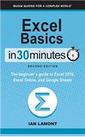 Excel Basics in 30 Minutes (2nd Edition)