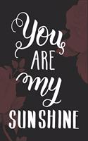You Are My Sunshine Valentines Day gift journal