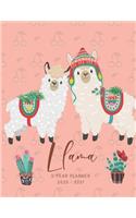 2020-2021 2 Year Planner Llama Monthly Calendar Goals Agenda Schedule Organizer