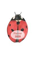 Planner 2020