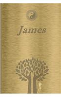 James: Personalized Name Journal/Notebook for Men - Masculine Metal-look Cover with Lined Writing Pages