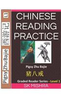 Chinese Reading Practice