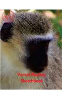 Vervet Monkey Sketchbook