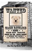 Chow Chow Dog Wanted Poster