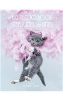 The Big Photo Book of Cats, Kittens, and Kitties
