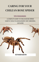 Caring for Your Chilean Rose Spider