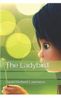 The Ladybird