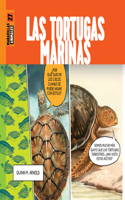 Tortugas Marinas