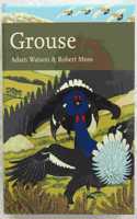 Grouse