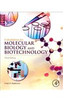 Calculations for Molecular Biology and Biotechnology