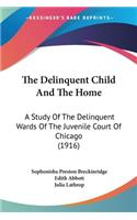 Delinquent Child And The Home
