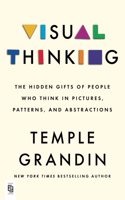 Visual Thinking