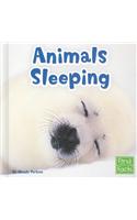 Animals Sleeping