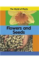 The World of Plants: Flowers and Seeds