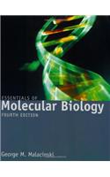 Essentials of Molecular Biology