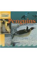 Penguins