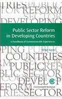 Public Sector Reform in Developing Countries
