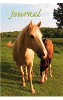 Horse Sense Journal