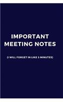 Important Meeting Notes (I Will Forget In Like 5 Minutes)
