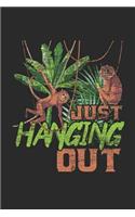 Just Hanging Out