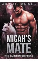 Micah's Mate