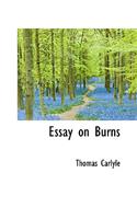 Essay on Burns