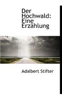 Hochwald: Eine Erzahlung
