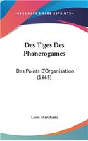 Des Tiges Des Phanerogames: Des Points d'Organisation (1865)