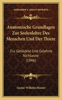 Anatomische Grundlagen Zur Seelenlehre Des Menschen Und Der Thiere
