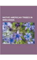 Native American Tribes in Wisconsin: Anishinaabe, Bad River Band of the Lake Superior Tribe of Chippewa Indians, Brothertown Indians, Fond Du Lac Band(English)