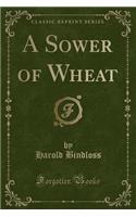 A Sower of Wheat (Classic Reprint)