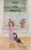 Mystery of the Missing Socks