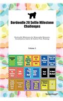Bordoodle 20 Selfie Milestone Challenges Bordoodle Milestones for Memorable Moments, Socialization, Indoor & Outdoor Fun, Training Volume 3