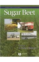 Sugar Beet