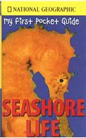 Seashore Life: (National Geographic My First Pocket Guides)