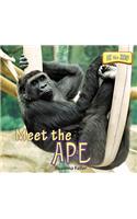 Meet the Ape