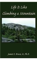 Life Is Like Climbing a Mountain