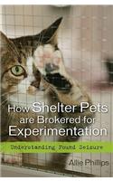 How Shelter Pets Are Brokered for Experimentation