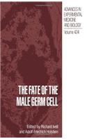 The Fate of the Male Germ Cell