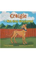 Craigie the Not Gray Greyhound