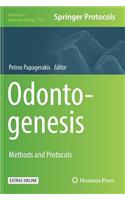 Odontogenesis: Methods and Protocols(1922 Methods in Molecular Biology)