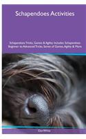 Schapendoes Activities Schapendoes Tricks, Games & Agility. Includes: Schapendoes Beginner to Advanced Tricks, Series of Games, Agility and More