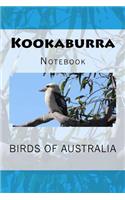 Kookaburra